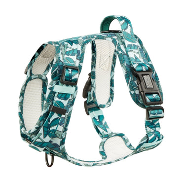 Harnais pour chien anti-traction - Comfy Amazonia